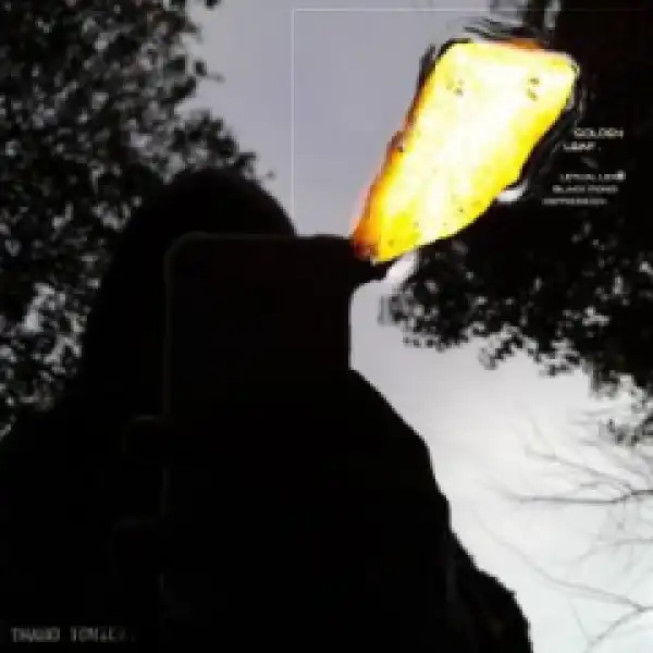 Thabo Tonick - Black Pond